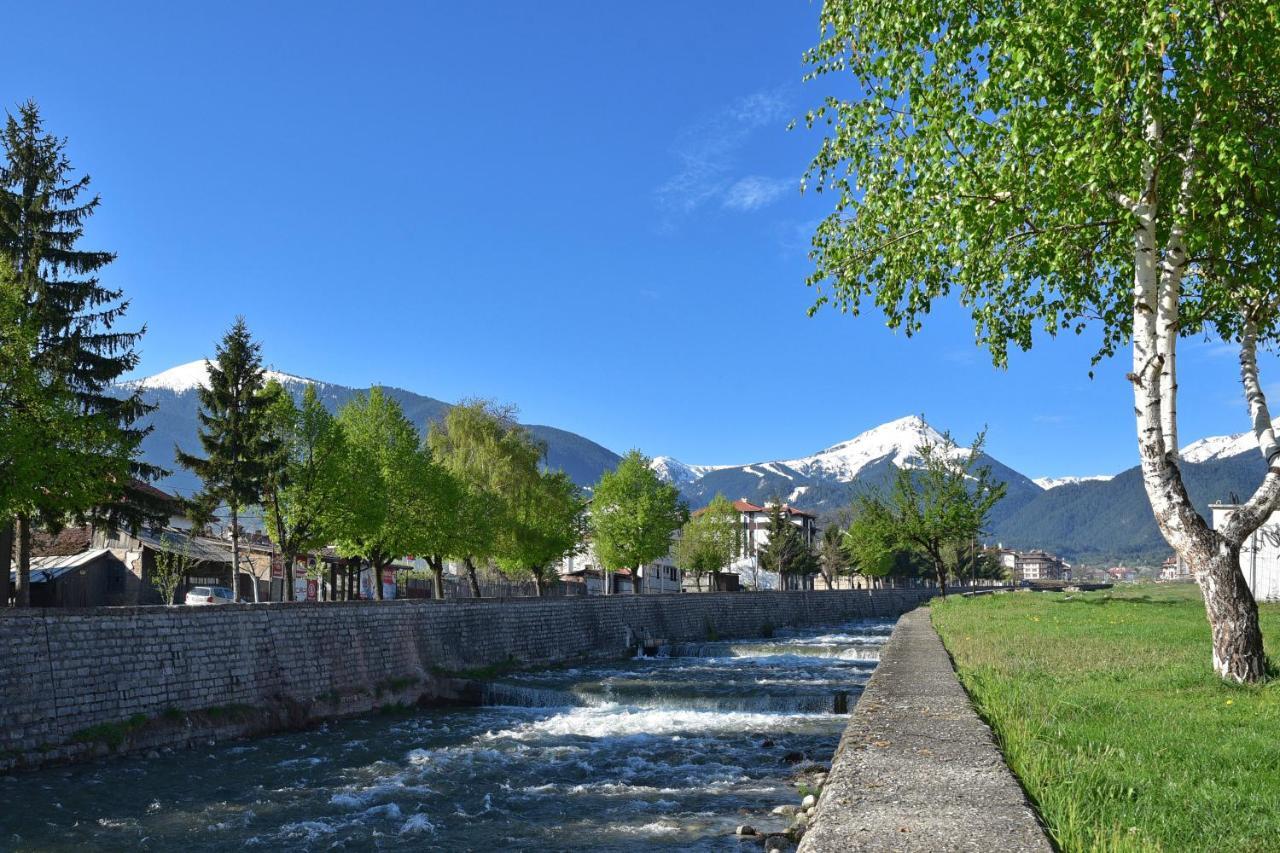 Hotel Alpin - 91 Bansko Exterior photo